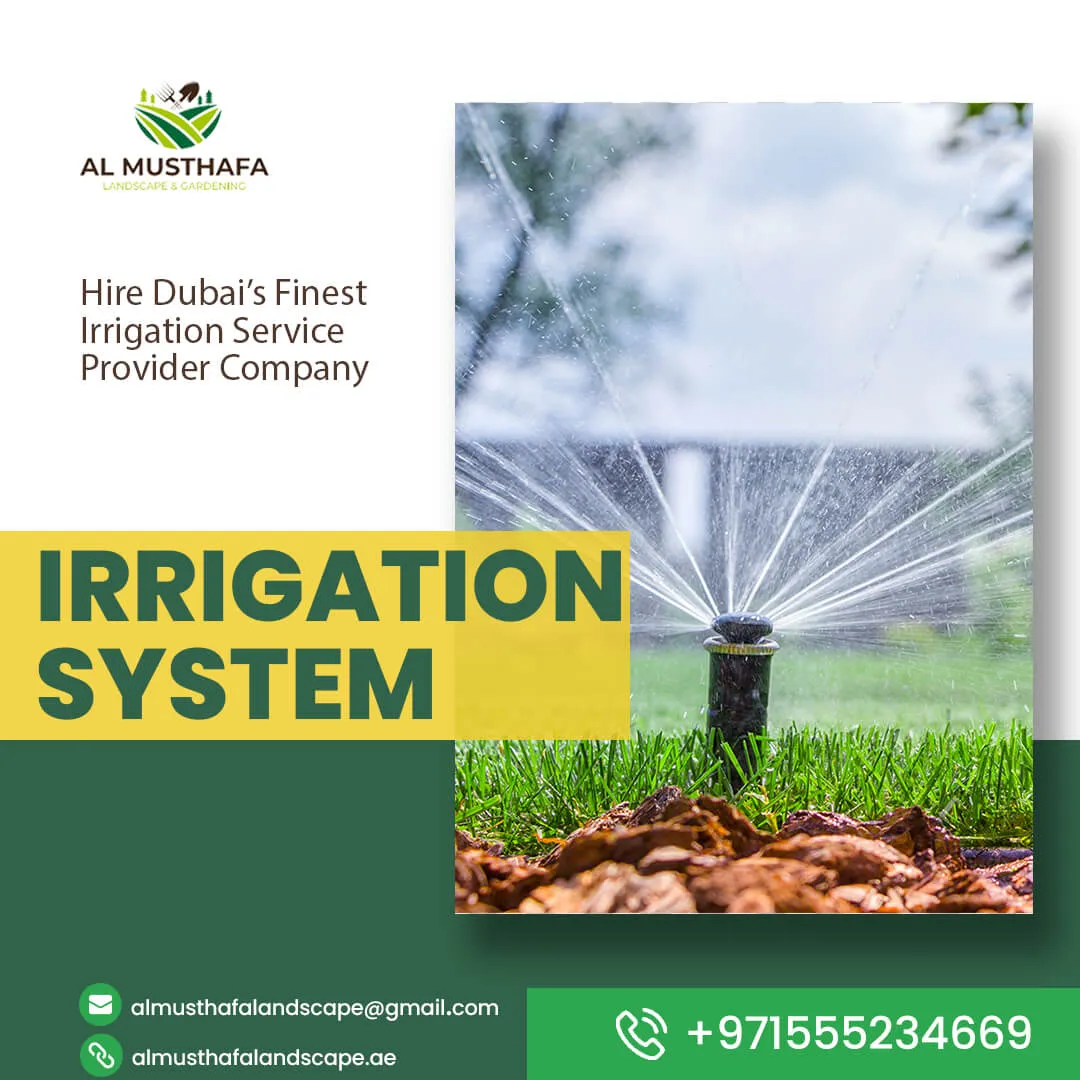 Irrigation.webp