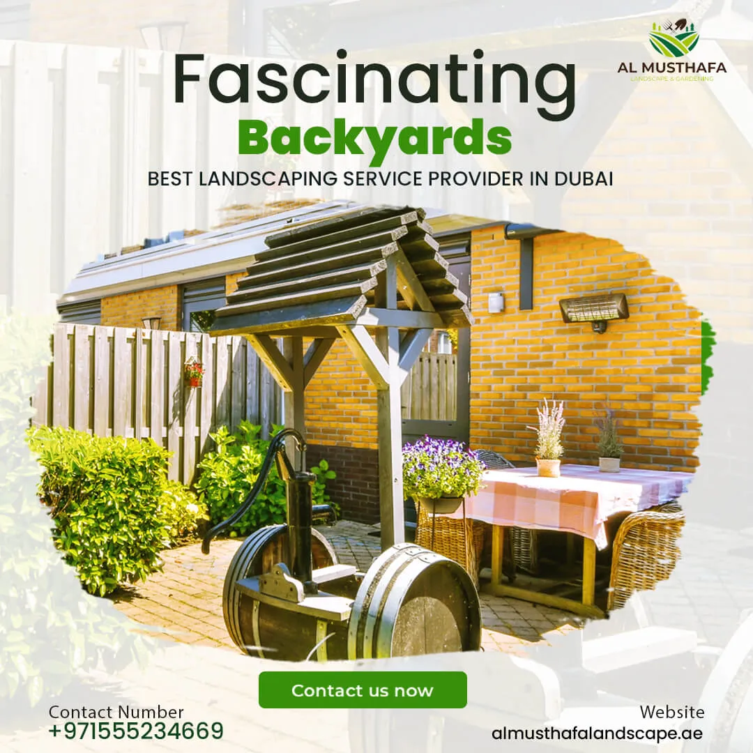 lawn_and_gardening_8.webp